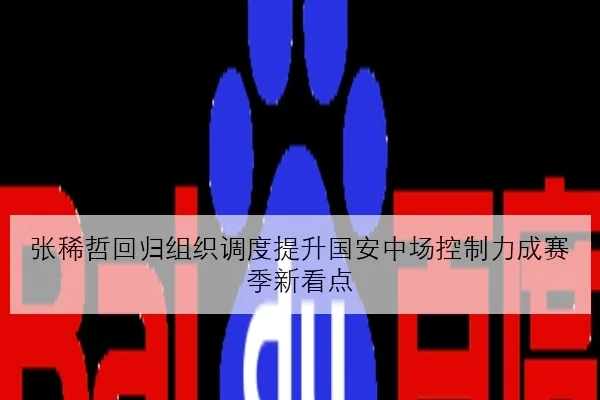 张稀哲回归组织调度提升国安中场控制力成赛季新看点